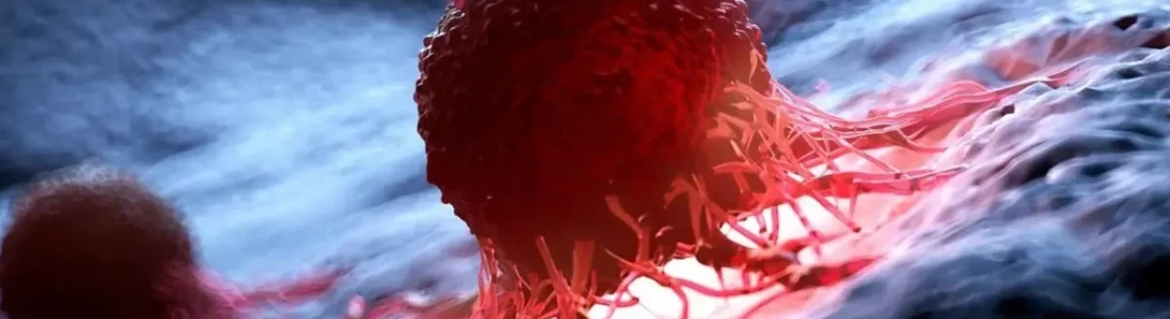 Kas yra laisvieji radikalai? Kuo naudingi vitaminai-antioksidantai?